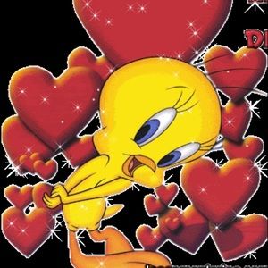 Meet your Posher, Berenice